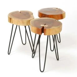 Bijzettafeltje Samantha - Acacia En Zwart Stalen Poten 12 Bijzettafeltje Samantha - Acacia En Zwart Stalen Poten -Emob 2320 15 2 9302