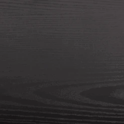 Wandrek Newton Met 4 Legplanken - Zwart 15 Wandrek Newton Met 4 Legplanken - Zwart -Emob Ontwerp zonder titel 2023 06 26T155035.693 4143